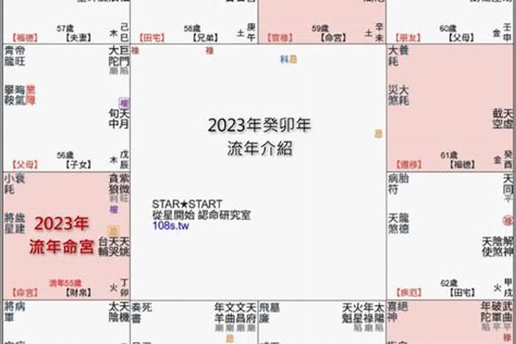 紫微斗数2022年流年运势