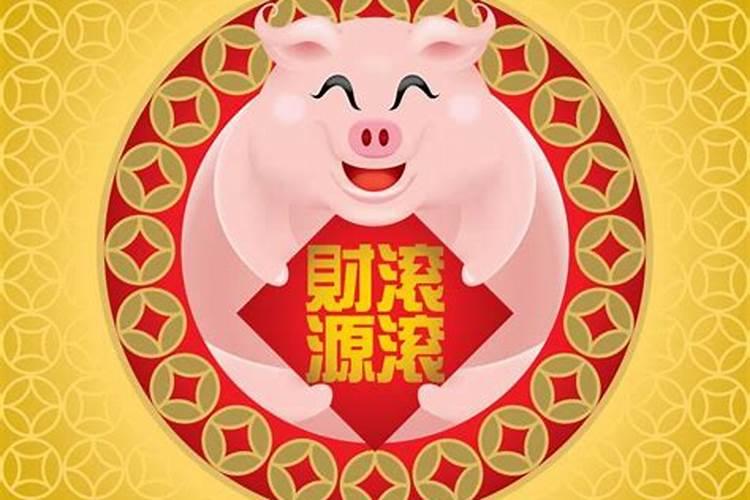 属猪今年运势咋样