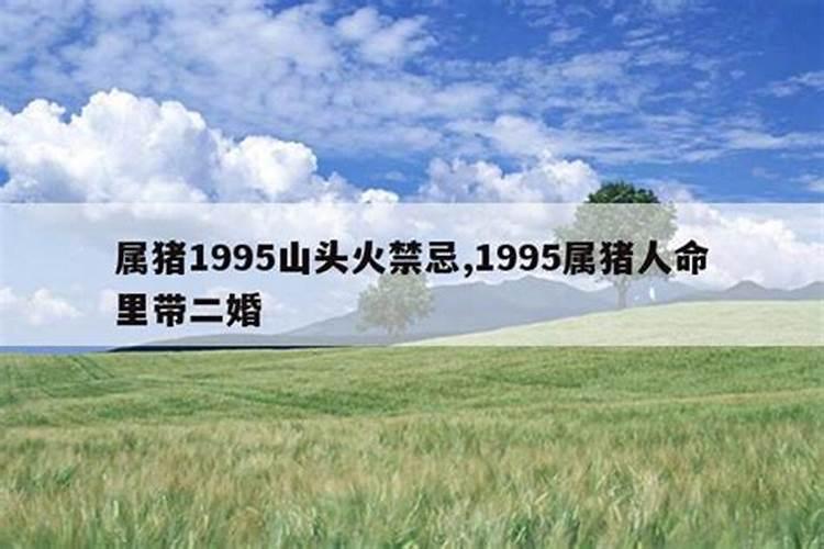 1995年山头火命最佳婚配