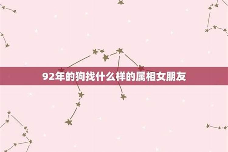 狗跟狗的属相适合做朋友吗