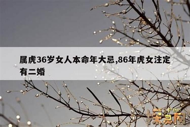 本命年结婚的大忌属虎