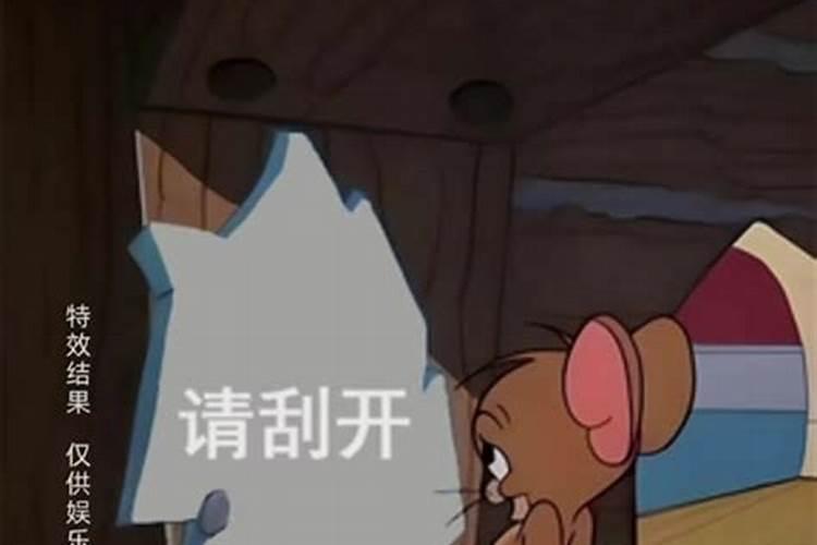 测字算命测姓名婚姻怎么样