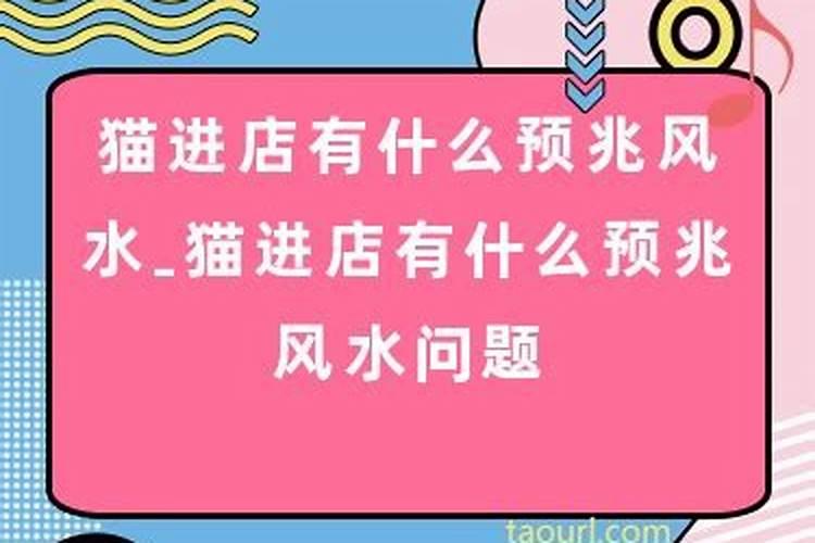 梦见上坟磕头什么意思周公解梦