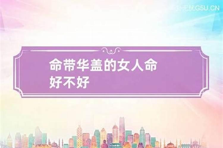 属兔在2024犯太岁吗