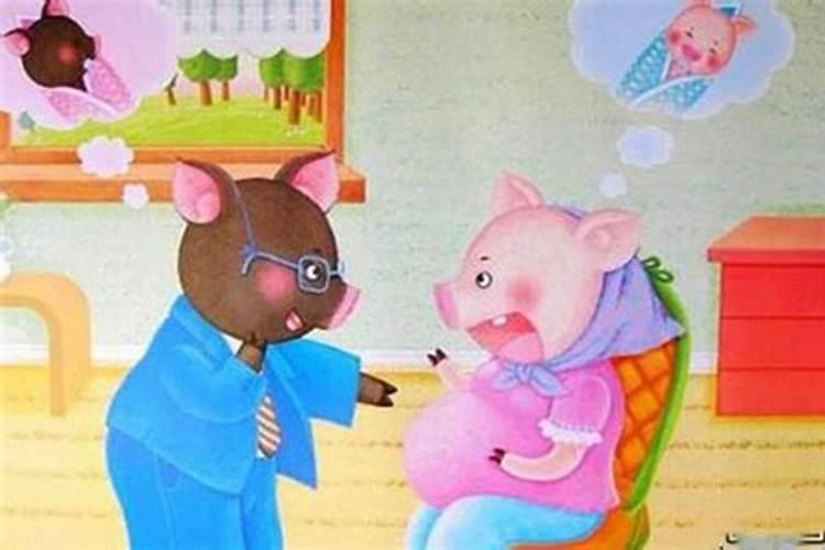 猪先生和猪太太婚姻