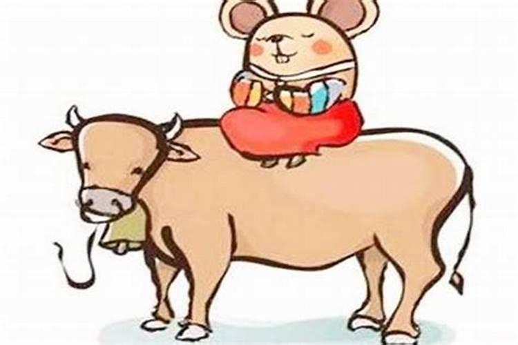 鼠和牛属相配婚姻如何