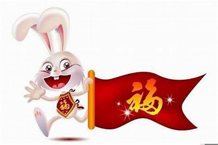 属兔的今年怎么改变运势