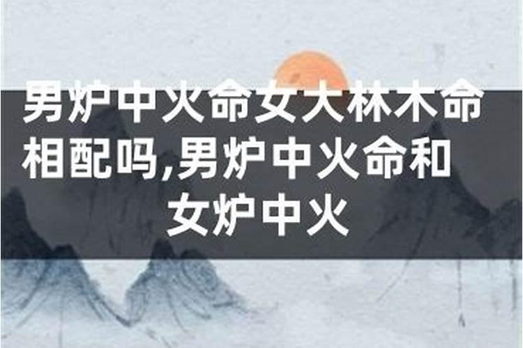 沙中土与炉中火婚配