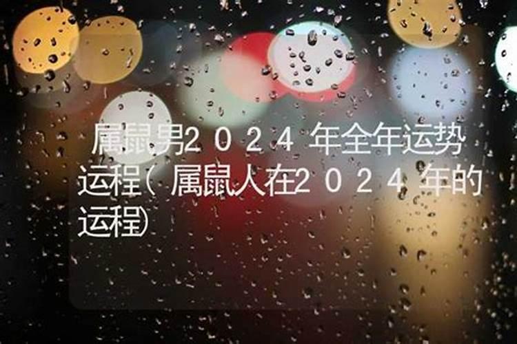 猪在2023年的运势如何样