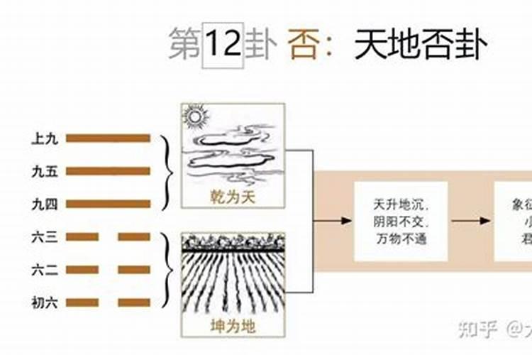 九月初九属鸡的命运如何