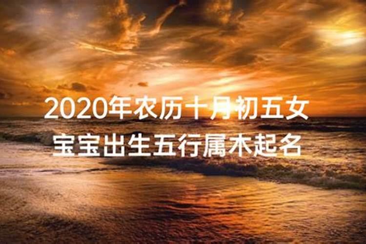 双鱼座今日运势女属牛2020