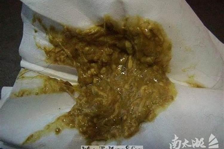 梦到拉屎弄到床上怎么回事