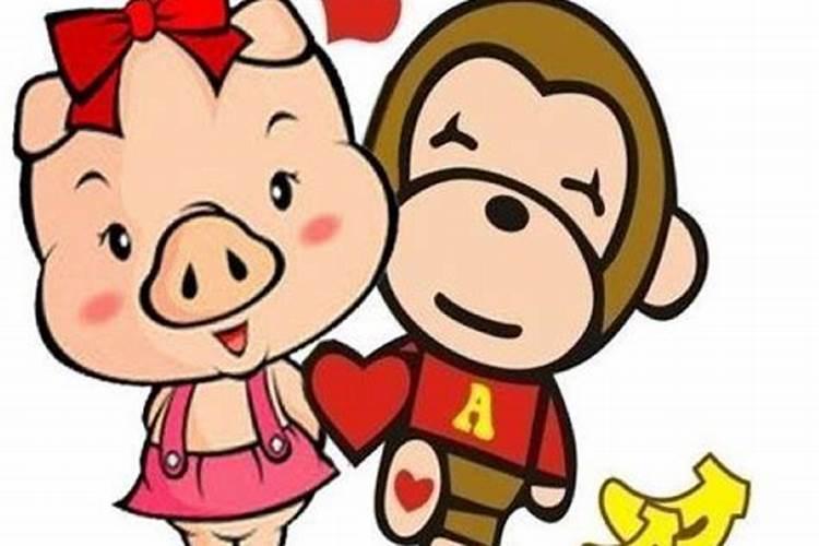 猴和猪相配婚姻如何化解
