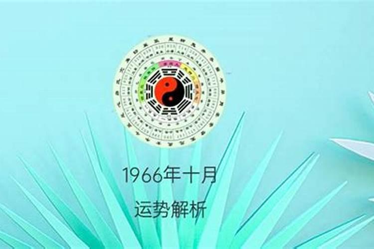 1999年属兔人一生命运