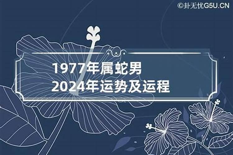 1993年生肖鸡女2023年运势大全