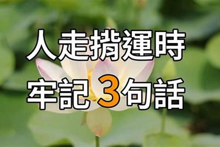 云溪道教超度法事