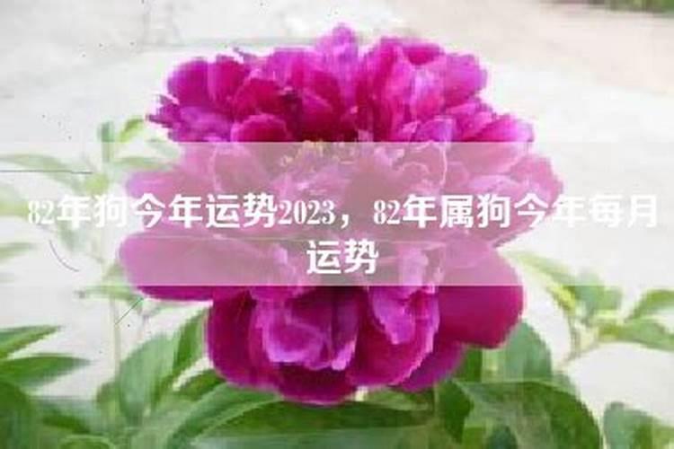 清明节北方人有什么习俗