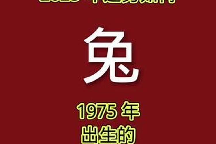 75年出生的运势如何