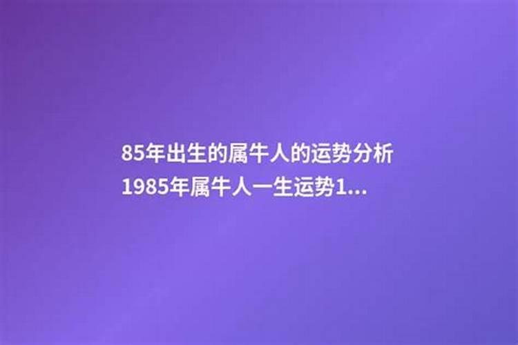 1985年人出生运势如何