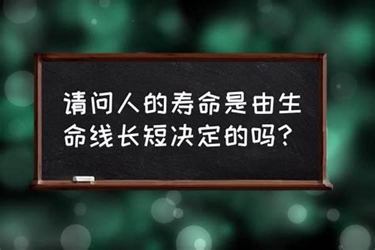 塔罗牌占卜运势用什么牌阵最准