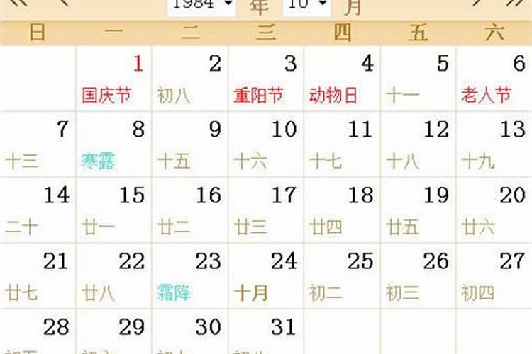 属鸡2024年的整体运势如何