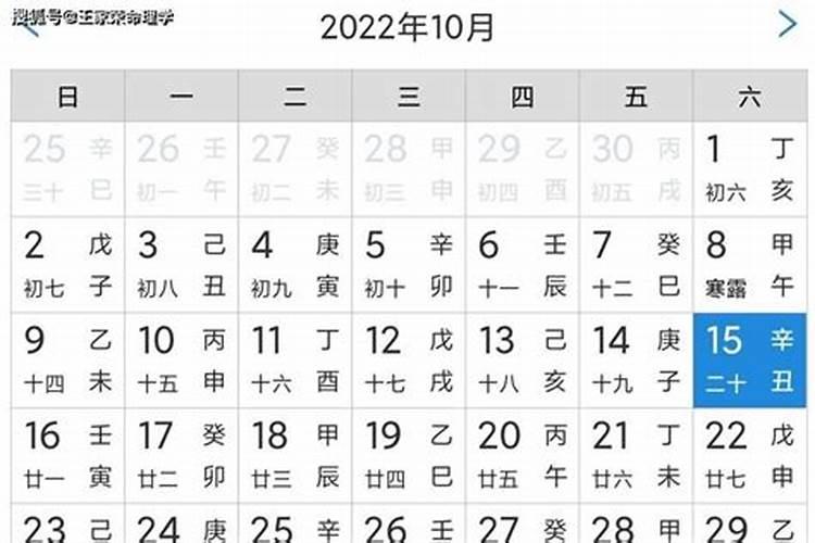 属猪的2022年运势运程