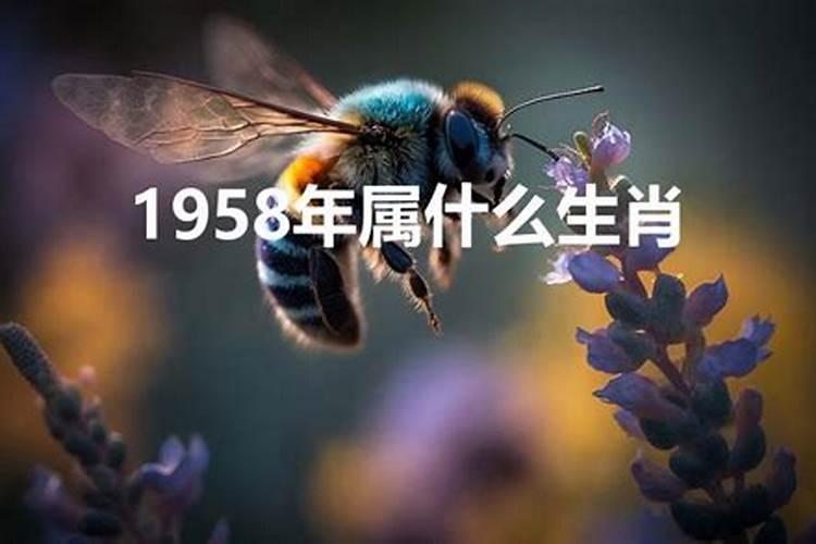 1941年属蛇2023年运势及运程