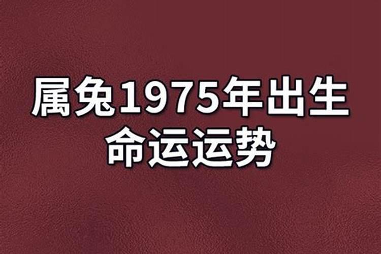 1975年生一生运势