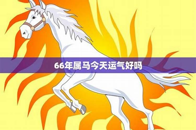 66年属马人今年运势