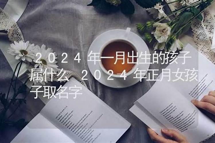 年属龙的人2023年运程