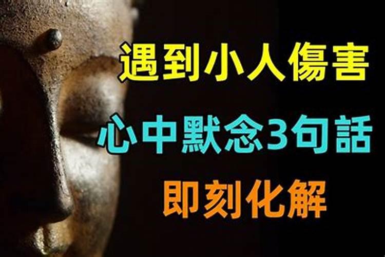 69鸡今年运气如何