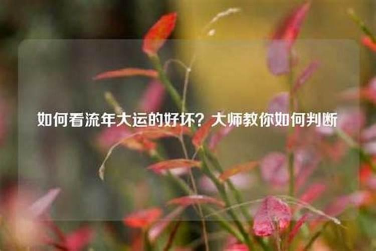 如何看行什么大运