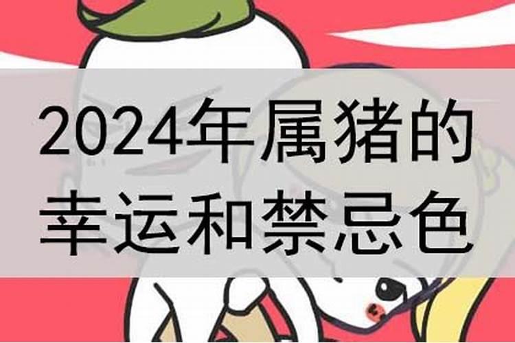 属猪的幸运色是什么颜色