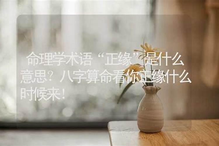 命里正缘是什么意思