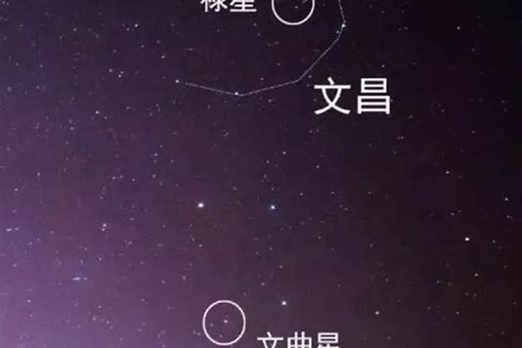 新疆人八字排盘用什么时间