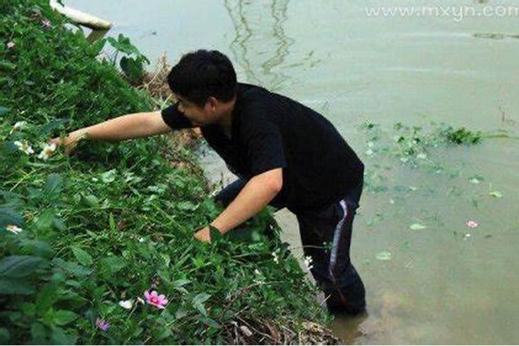 梦见家人去河里玩什么意思