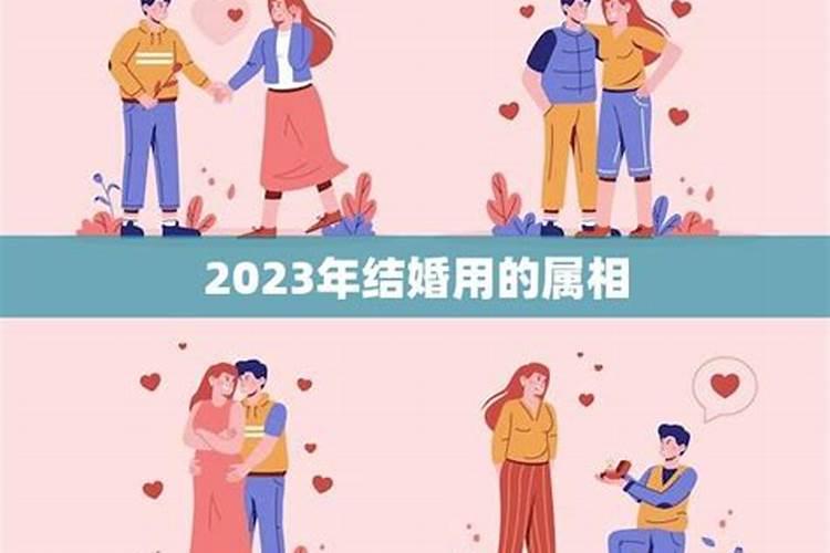 同一个属相能结婚吗