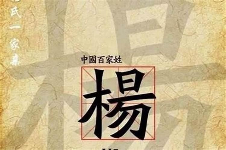 属虎人今年可以创业吗