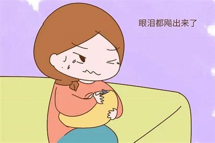 男狗配女鼠的婚姻如何