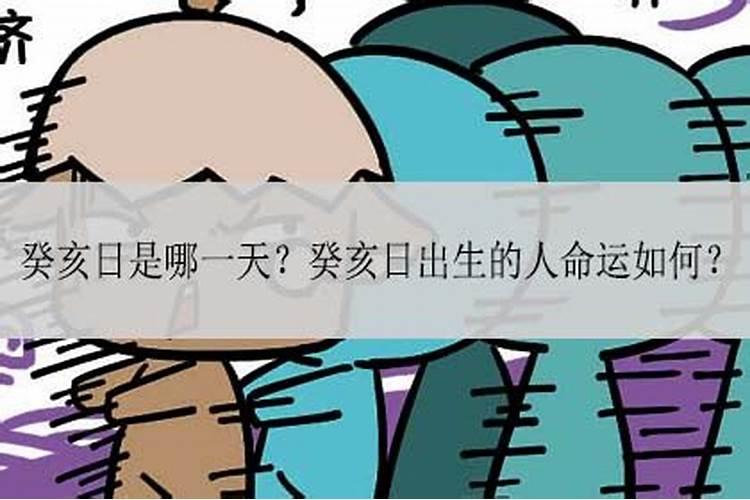 梦见乌龟是怎么回事啊