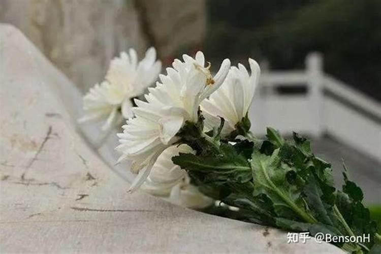 梦见了已故亲人又死了还摆了灵堂