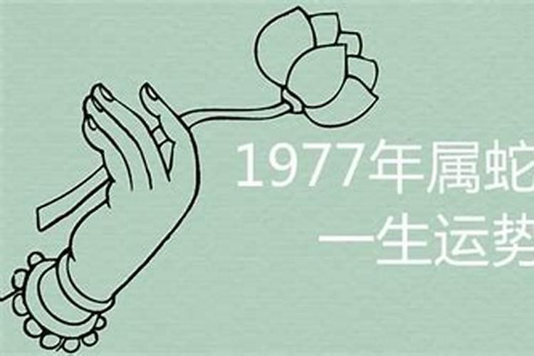 1977年出生一生运势婚姻