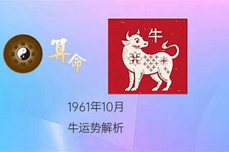 12月31号什么星座的