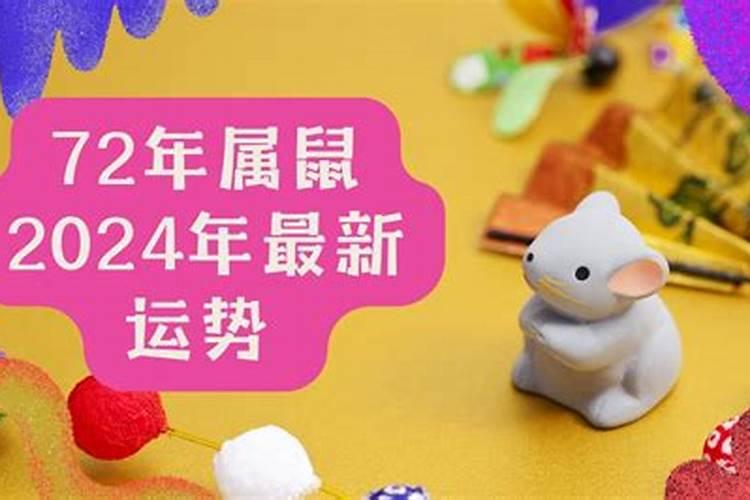 两人属猪的2020年什么时候结婚好一点