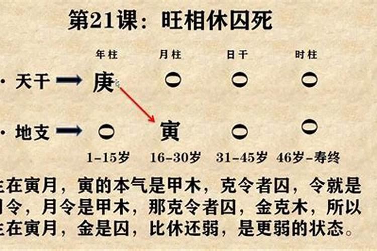 八字基本信息是什么