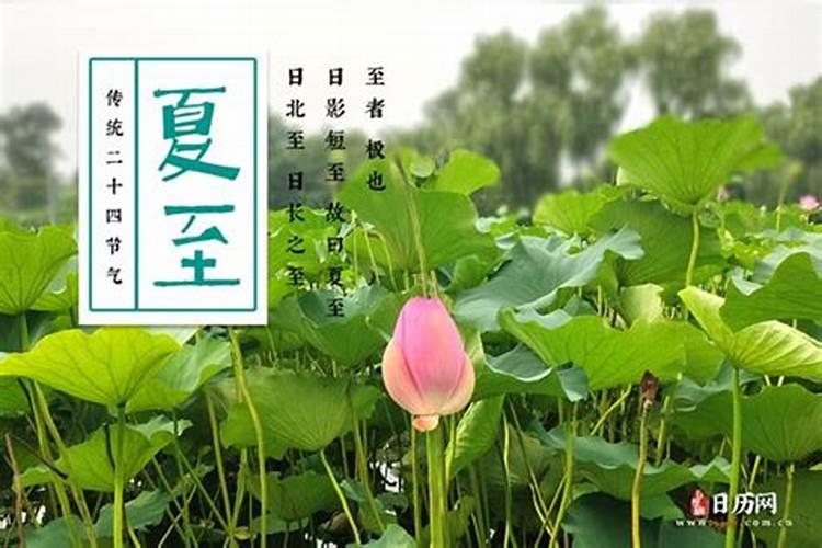 夏至后面的节气是哪个