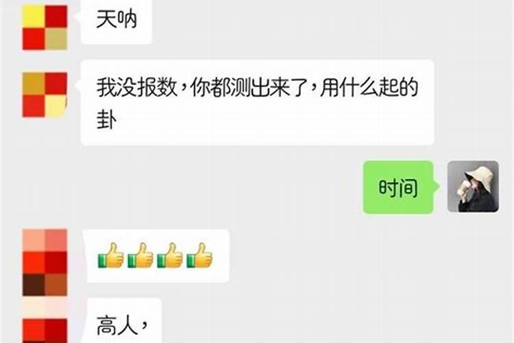 梦见特别漂亮的大公鸡什么预兆