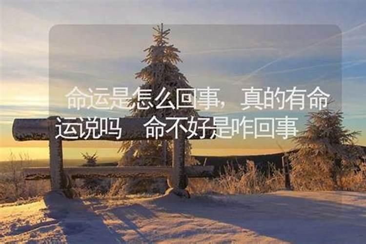 梦见表妹离婚是什么意思