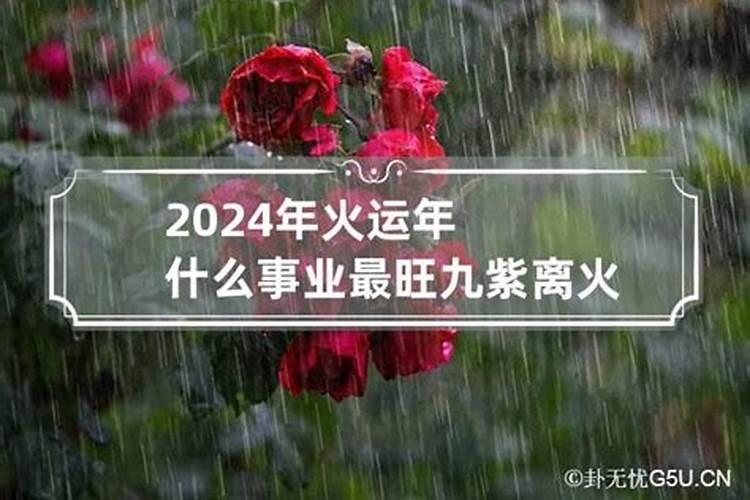 2024属蛇12月运程如何