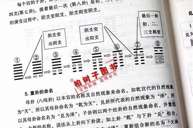 2022年属兔人好不好1987年的今年有没有桃花运